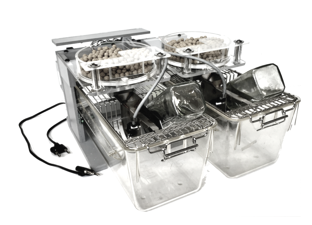 Automated Mouse Feeder